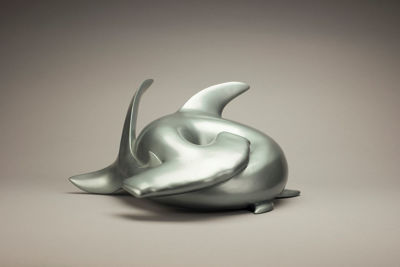 Picture of Sleeping Shark