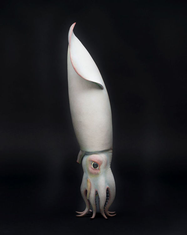 Picture of Squid