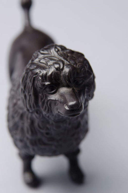 Picture of Poodle in Black Basalt