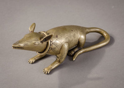 Picture of Armadillo