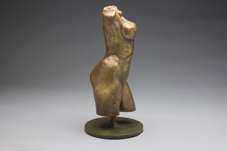 Picture of Nude Torso III