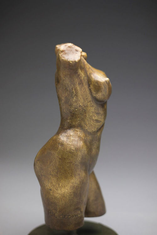 Picture of Nude Torso III