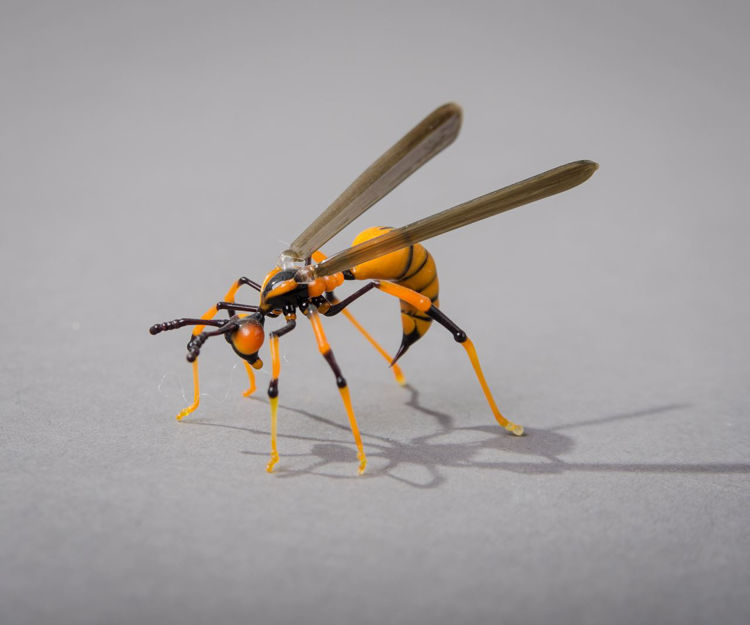 Picture of Wasp