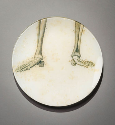 Picture of Feet of Skeleton