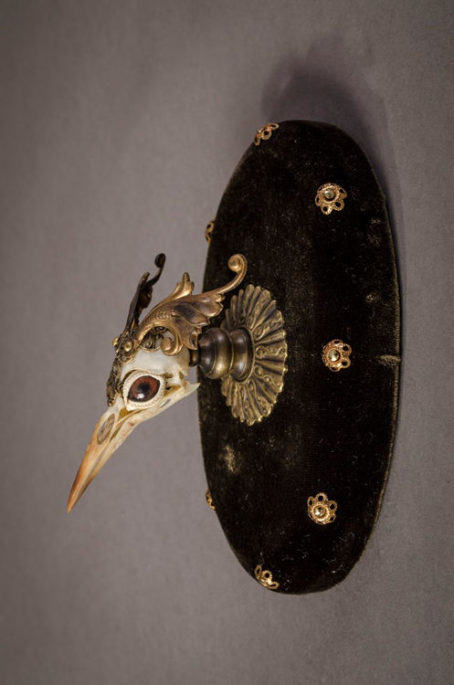 Picture of Elaborate Bird Skull