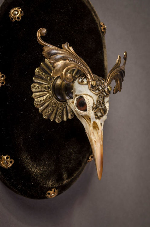 Picture of Elaborate Bird Skull