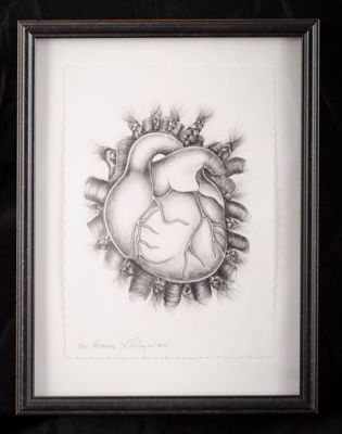 Picture of Acicalado