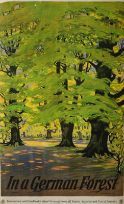 Picture of In a German Forest