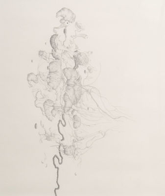 Picture of Im Wald Und auf Der Heide