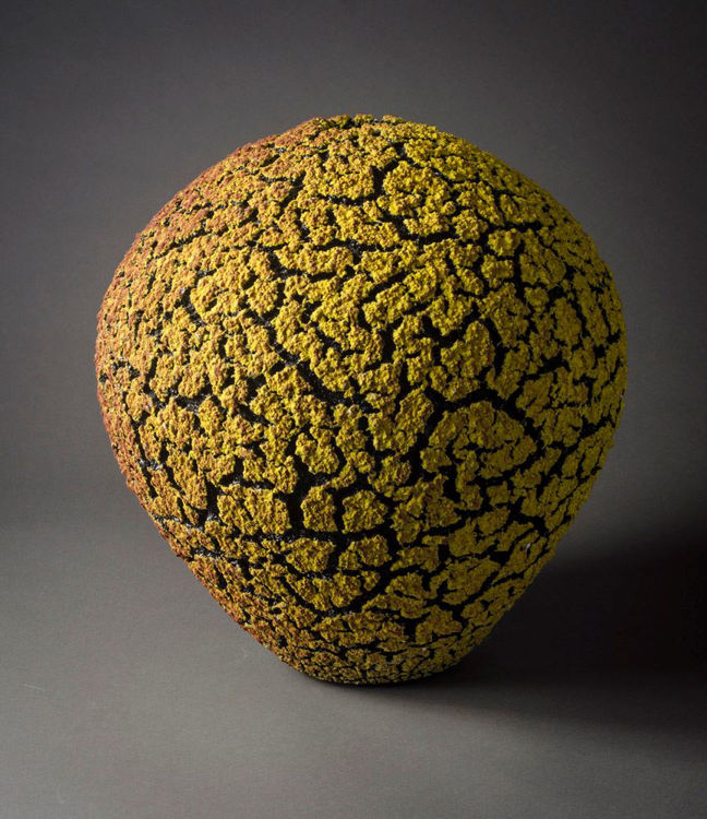 Picture of Yellow/Red Lichen Vase