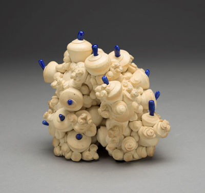 Picture of Clarion Conophytum