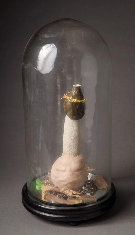 Picture of The Stinkhorn, Glorification I