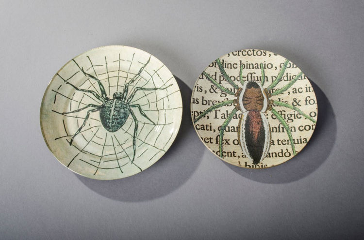 Picture of Brown & Green Spider Plate